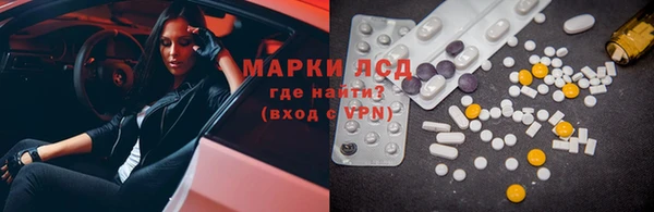 ГАЛЛЮЦИНОГЕННЫЕ ГРИБЫ Козловка