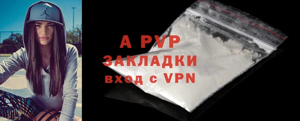 ГАЛЛЮЦИНОГЕННЫЕ ГРИБЫ Козловка