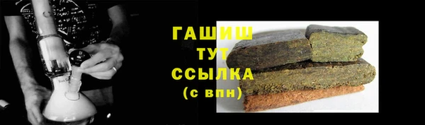 ГАЛЛЮЦИНОГЕННЫЕ ГРИБЫ Козловка