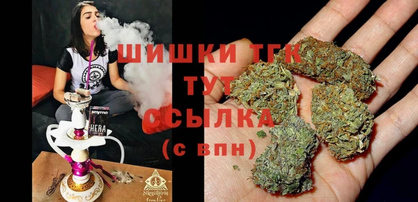 ГАЛЛЮЦИНОГЕННЫЕ ГРИБЫ Козловка