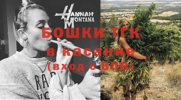 ГАЛЛЮЦИНОГЕННЫЕ ГРИБЫ Козловка