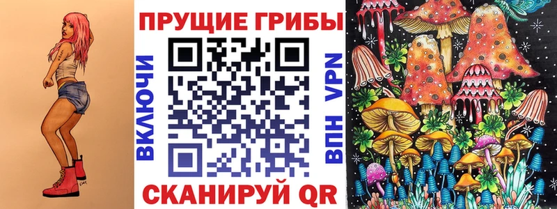 blacksprut как войти  даркнет как зайти  Псилоцибиновые грибы мицелий  Михайловка 