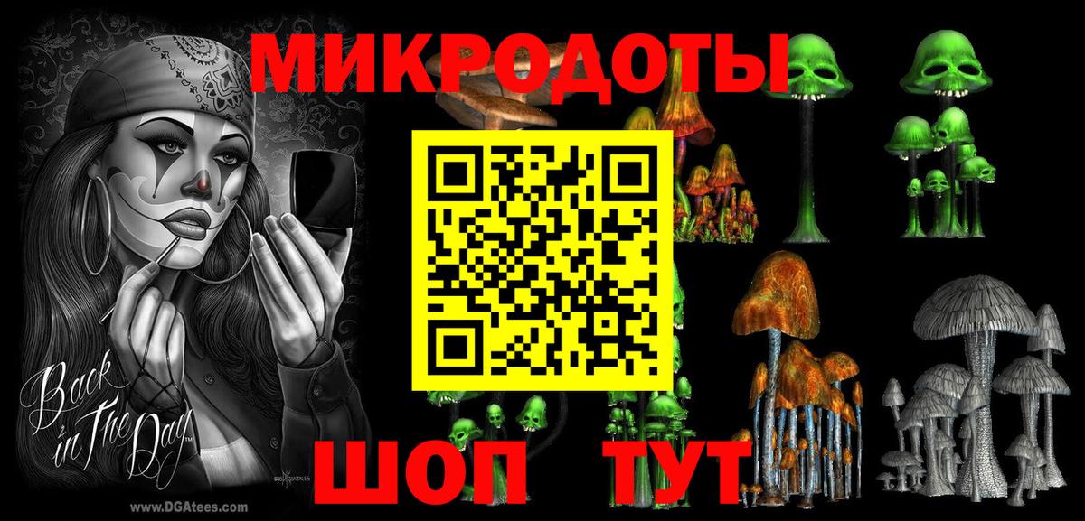 Псилоцибиновые грибы прущие грибы  Вход с VPN  Михайловка 